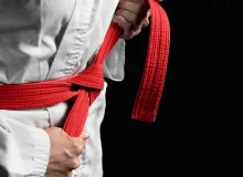 تکواندو، کاراته، ووشو و MMA در مسیر موفقیت