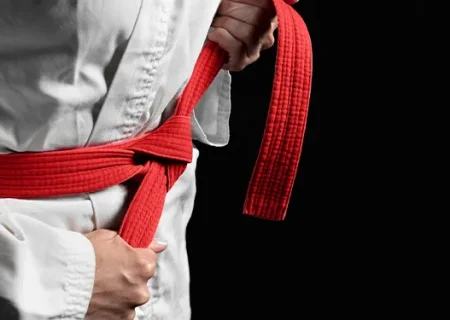 تکواندو، کاراته، ووشو و MMA در مسیر موفقیت