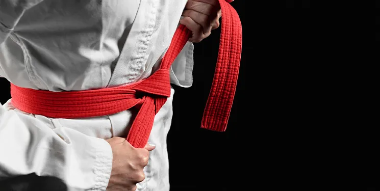 تکواندو، کاراته، ووشو و MMA در مسیر موفقیت